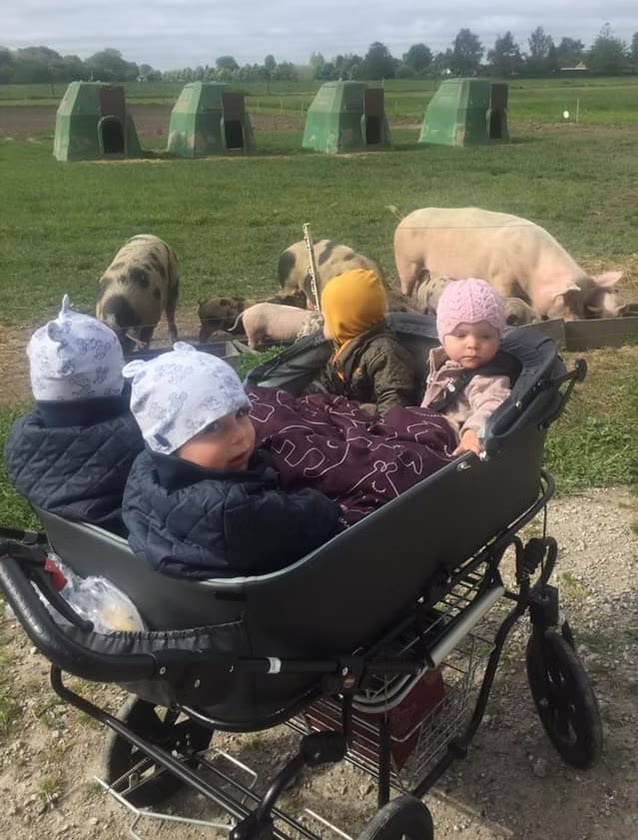 Besøg hos dyrene